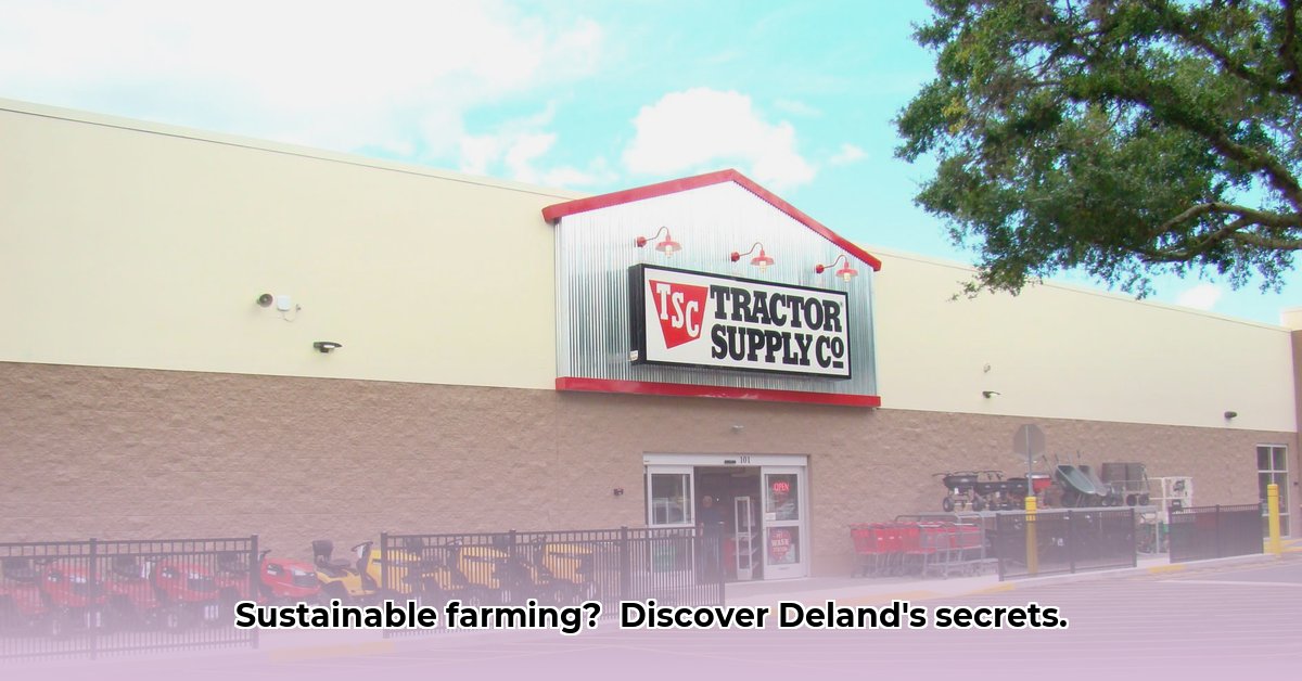 deland-tractor-supply